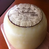 Queijo Curado Flor da Malcata