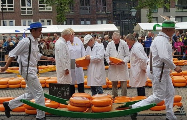 Sugest&otilde;es de visita